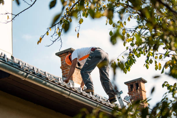 Best Storm Damage Roof Repair  in Steilacoom, WA